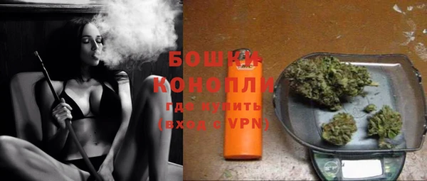 индика Заволжск