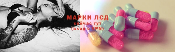 индика Заволжск