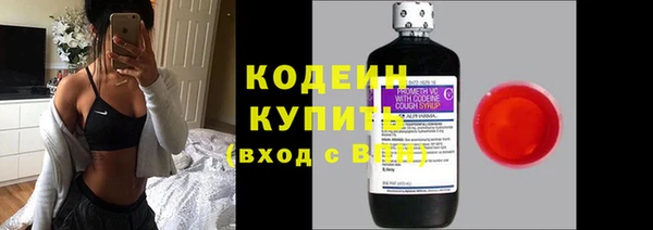 индика Заволжск
